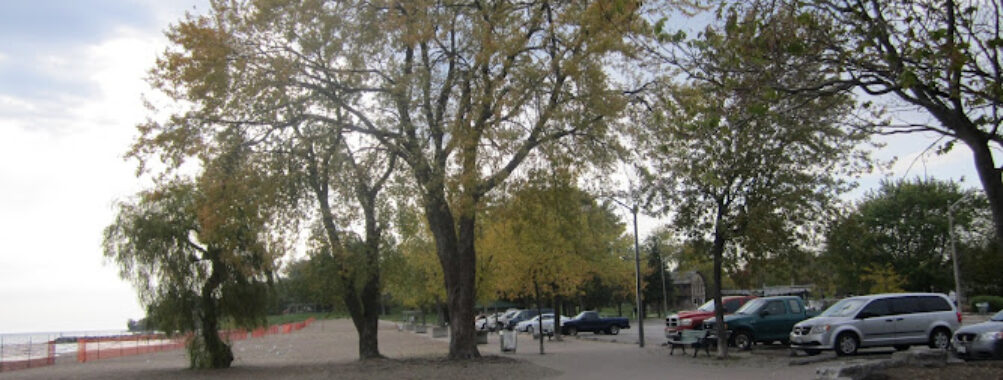 Conant Park Travel Forum Reviews