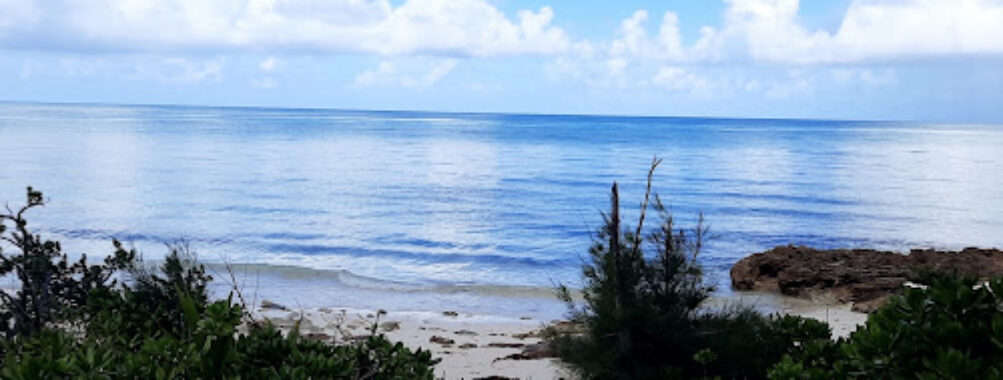 Congo Town Travel Forum Reviews