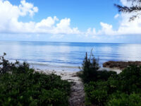 Congo Town Travel Forum Reviews