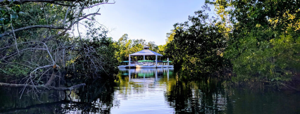 Conservancy of Southwest Florida Travel Forum Reviews