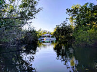 Conservancy of Southwest Florida Travel Forum Reviews