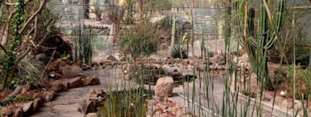 Conservatorio de Plantas Mexicanas Travel Forum Reviews