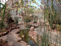 Conservatorio de Plantas Mexicanas Travel Forum Reviews