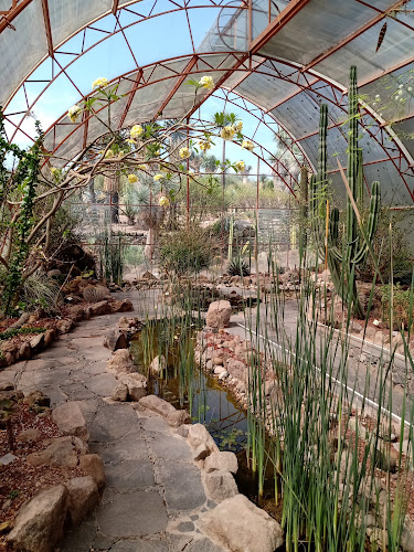 Conservatorio de Plantas Mexicanas
