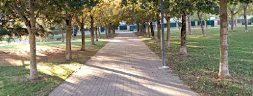 Constitución Park Travel Forum Reviews