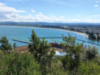 Cook's Plaza Travel Forum Reviews