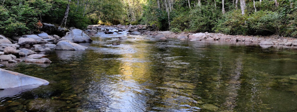 Coquitlam Creek Travel Forum Reviews