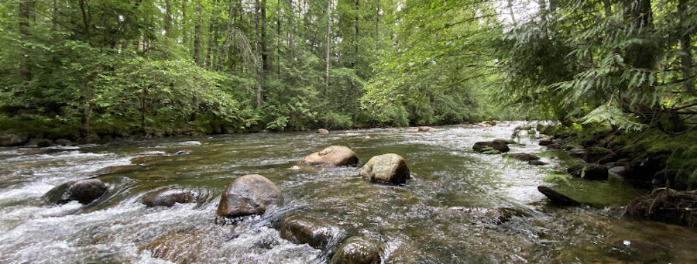 Coquitlam River Park Travel Forum Reviews