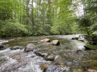 Coquitlam River Park Travel Forum Reviews