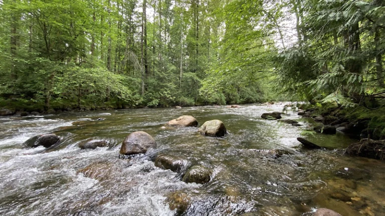 Coquitlam River Park