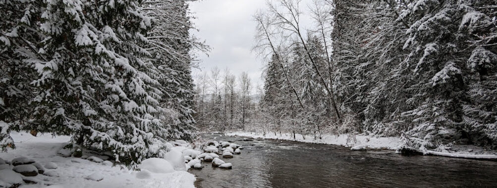 Coquitlam River Trail Travel Forum Reviews