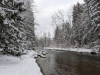 Coquitlam River Trail Travel Forum Reviews