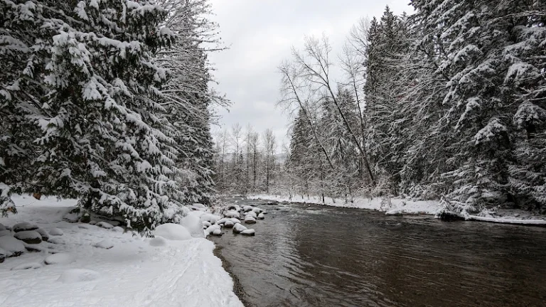 Coquitlam River Trail