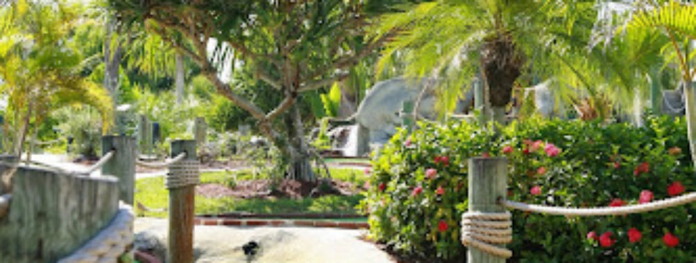 Coral Cay Adventure Golf Travel Forum Reviews