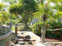Coral Cay Adventure Golf Travel Forum Reviews