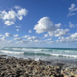 Coral Gardens Neighborhood Beach