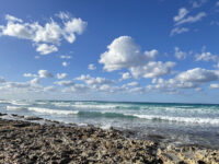 Coral Gardens Neighborhood Beach Travel Forum Reviews
