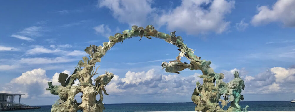 Coral Reefs Monument Travel Forum Reviews