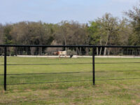Corinth Community Park Travel Forum Reviews