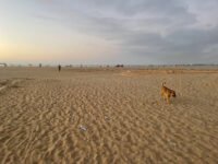 Corniche Mohammedia Travel Forum Reviews