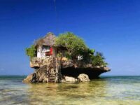 Cosmo Tour & Safari (Residential) Travel Forum Reviews