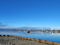 Costanera ushuaia Travel Forum Reviews