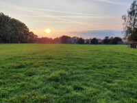 Cottenham Park Travel Forum Reviews