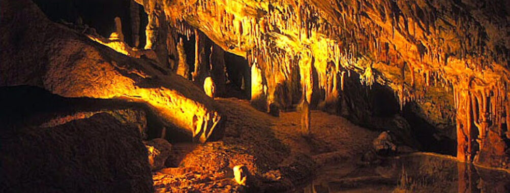 Cova de Can Marçà Travel Forum Reviews