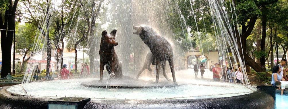 Coyoacán Travel Forum Reviews