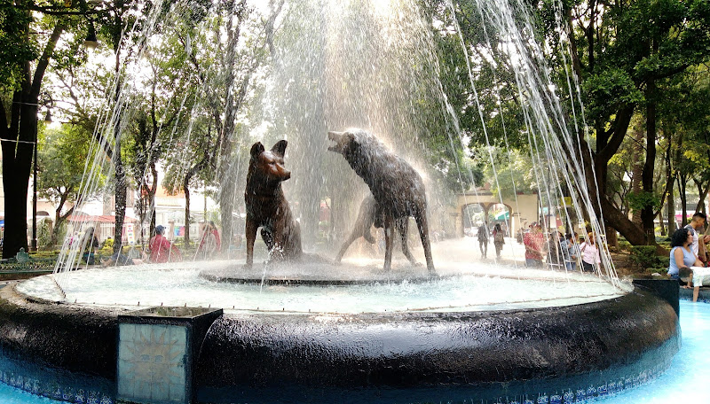 Coyoacán