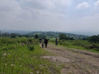 Coyotepec Travel Forum Reviews