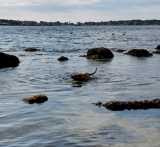 Crab Beach