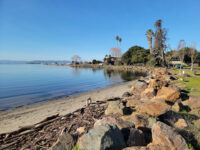 Crab Cove Travel Forum Reviews
