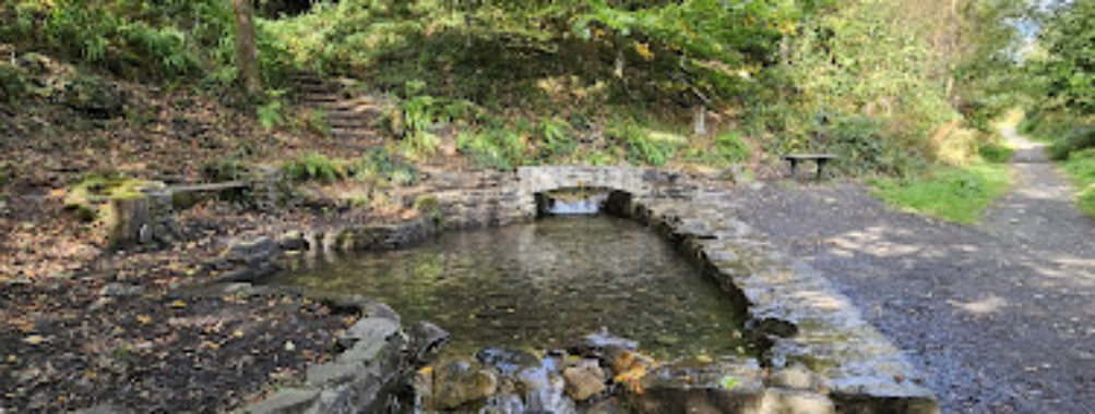 Craig Gwladys Country Park Travel Forum Reviews