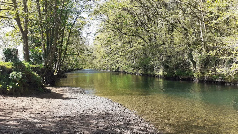 Craig-y-Parcau Local Nature Reserve