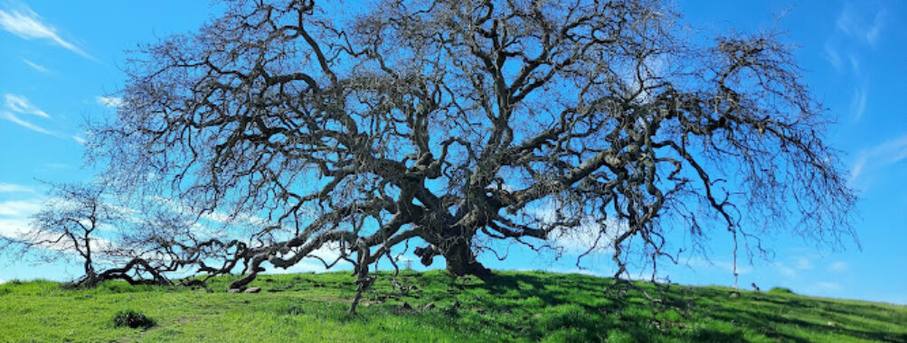 Crane Creek Regional Park Travel Forum Reviews