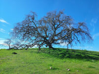 Crane Creek Regional Park Travel Forum Reviews