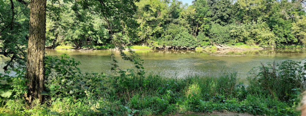 Creekview Park Travel Forum Reviews