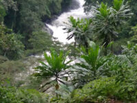 Cross River National Park Travel Forum Reviews