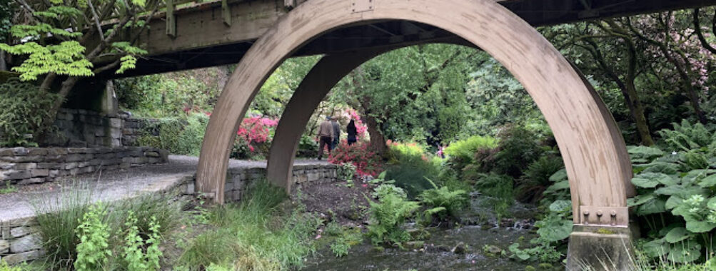 Crystal Springs Rhododendron Garden Travel Forum Reviews