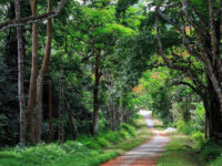 Cuc Phuong National Park Travel Forum Reviews