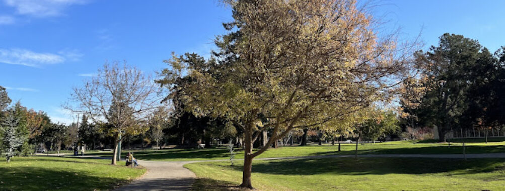 Cuesta Park Travel Forum Reviews