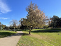 Cuesta Park Travel Forum Reviews