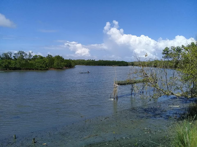 Culajao Mangrove Eco Park