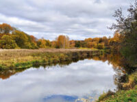 Culture and Leisure Park Travel Forum Reviews