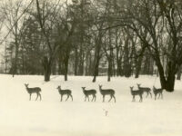 Cumberland County Historical Society Travel Forum Reviews