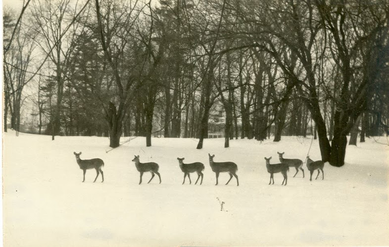Cumberland County Historical Society