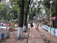 Cumilla City Park Travel Forum Reviews