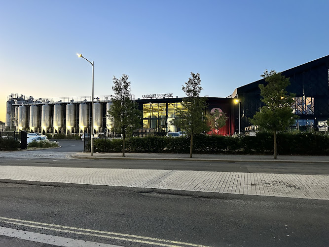 Curious Brewery