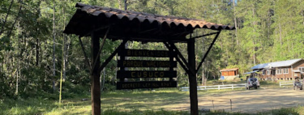 Cusuco National Park Travel Forum Reviews